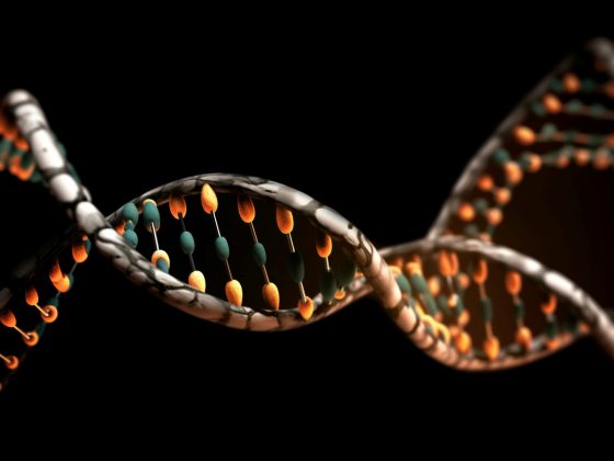 Structură ADN reprezentând predispoziția genetică și istoricul medical familial