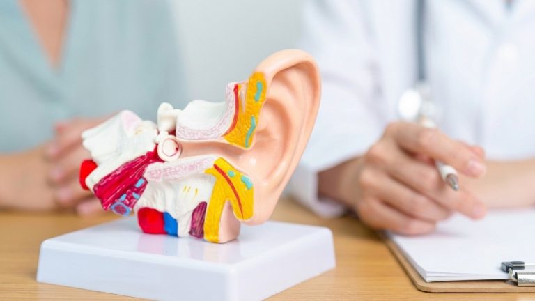 Model medical al urechii într-un cabinet ORL din Sector 6